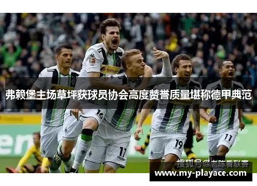 弗赖堡主场草坪获球员协会高度赞誉质量堪称德甲典范