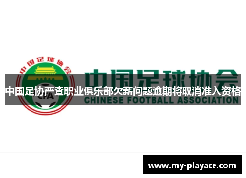 中国足协严查职业俱乐部欠薪问题逾期将取消准入资格
